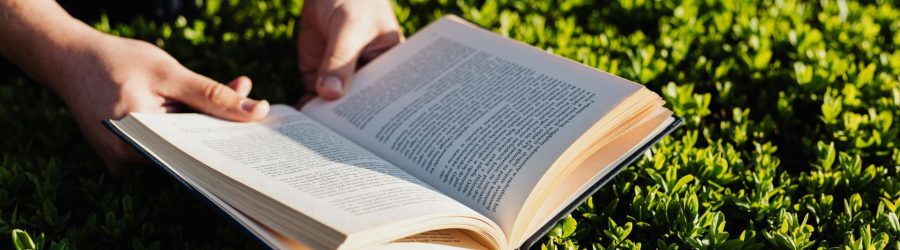 Mentoring multiplica el aprendizaje y la motivación organizacional