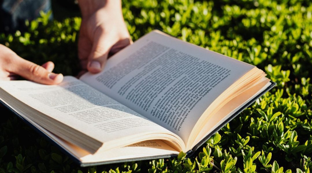 Mentoring multiplica el aprendizaje y la motivación organizacional