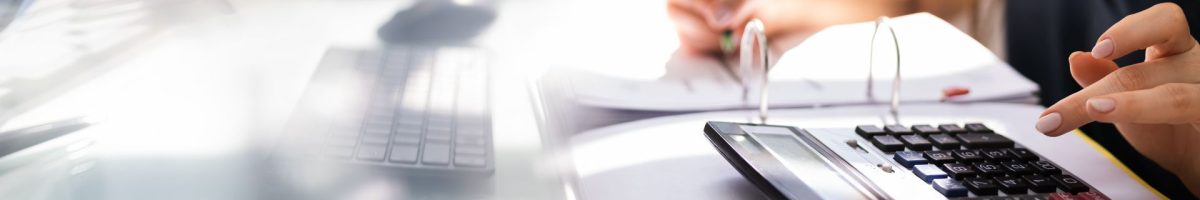 Tributación de los rendimientos derivados del ejercicio de actividades económicas IRPF e IVA